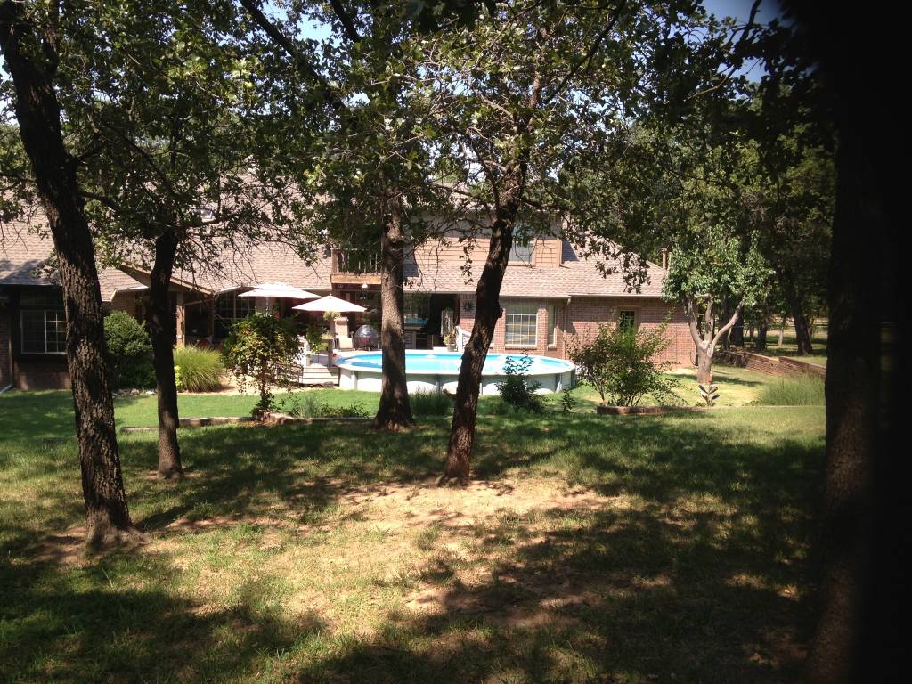 acorn-behind-pool-before